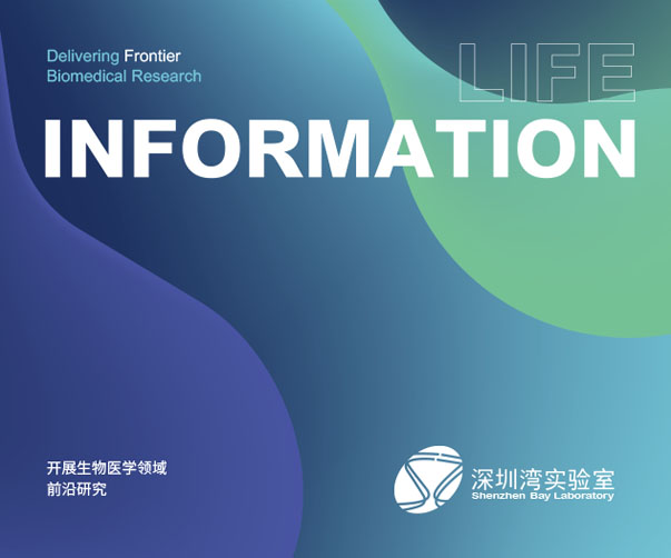 廈門標志設(shè)計：華僑文化與現(xiàn)代都市的多元融合