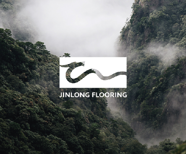 品牌設(shè)計(jì)的未來(lái)科技：探索人工智能在設(shè)計(jì)中的應(yīng)用